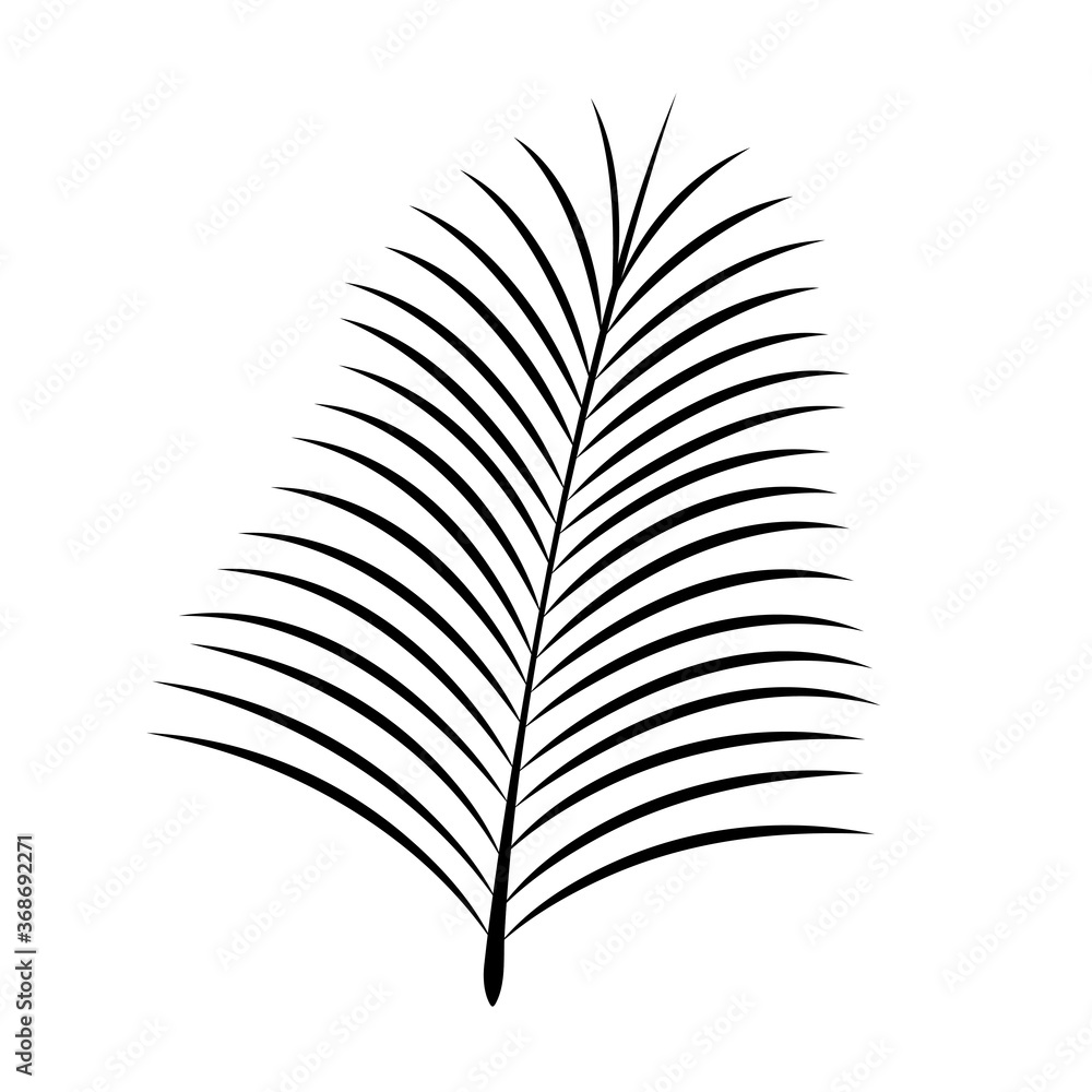 black silhouette date palm leaf. vector icon black silhouette date palm leaf. vector icon
