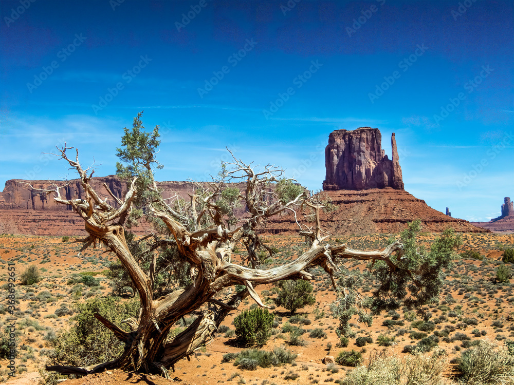 monument valley monument valley