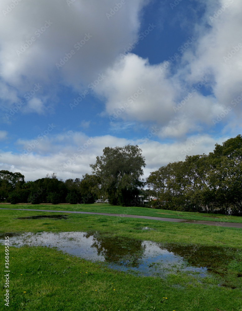 Beautiful view of a park with green grass and reflections of trees and sky on water puddle, Reid Park, Rydalmere, New South Wales, Australia