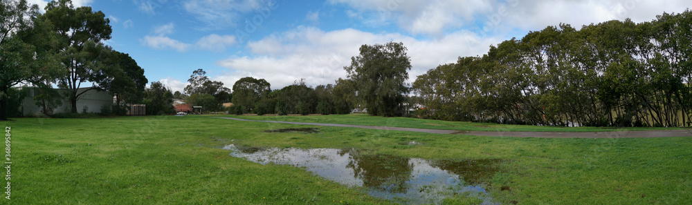 Obraz premium Beautiful panoramic view of a park with green grass and reflections of trees and sky on water puddle, Reid Park, Rydalmere, New South Wales, Australia