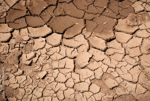 texture of dry soil. dried and cracked earth from thirst in summer heat, as background texture. closeup.