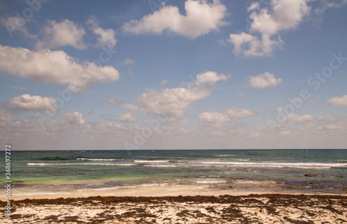 Remote tropical beach. The white sand shore, sargassum gulfweed, emerald color ocean and sea waves under a beautiful blue sky.