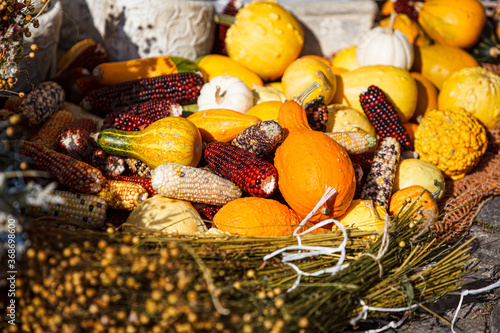 Chesky Krumlof market place fall gourdes  photo