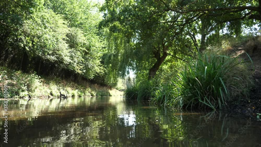 Beautiful slow-motion close-up shot of a shallow calm stream, a willow tree, nature and foliage on a sunny hot day. Beautiful slow-motion close-up shot of a shallow calm stream, a willow tree, nature and foliage on a sunny hot day.