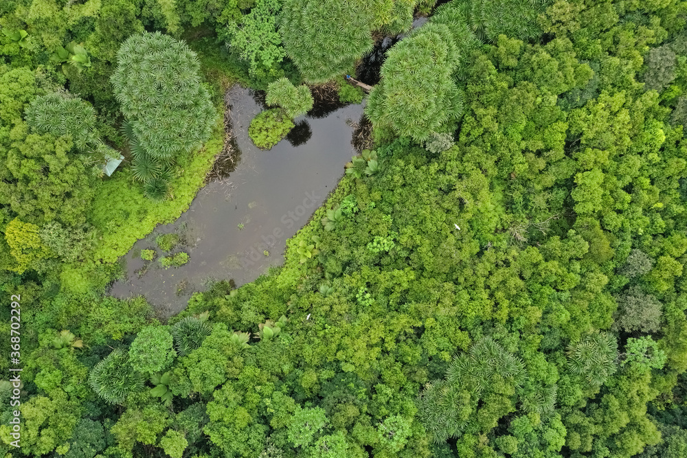 Aerial view of Mare aux Cochons, Mahé, Seychelles Aerial view of Mare aux Cochons, Mahé, Seychelles