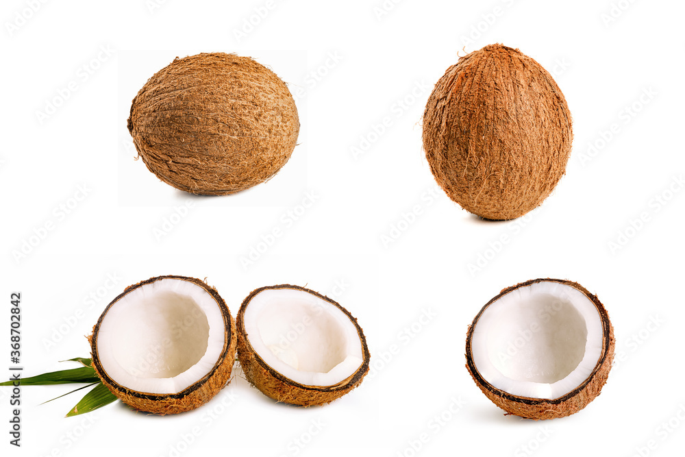 Set of coconut Set of coconut