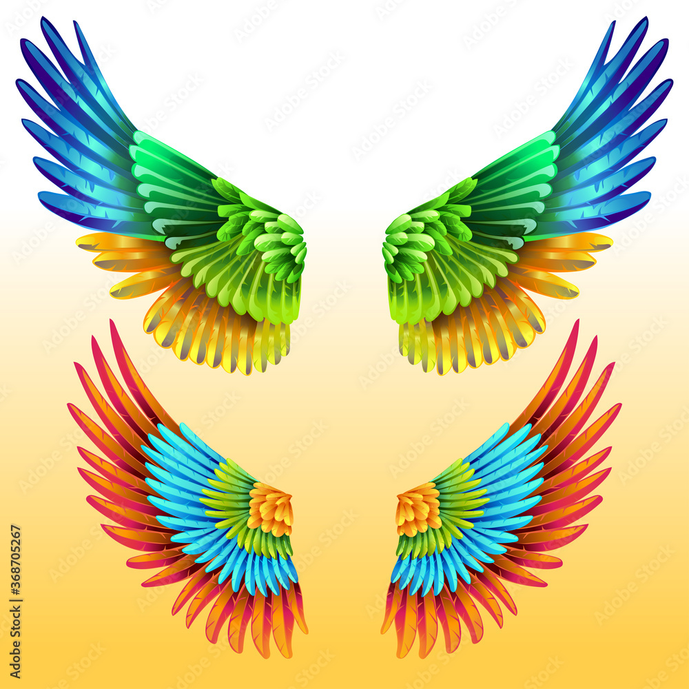 Obraz premium Pair of bright Colorful Wings