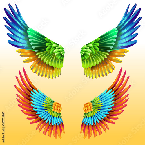 Pair of bright Colorful Wings