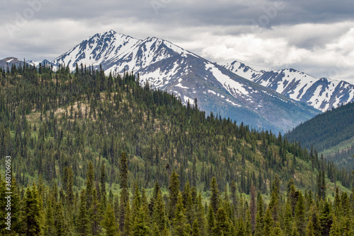 Iconic Canadian view of snow capped mountains and forest woods in the foreground. Taken in the summertime in Yukon Territory, northern Canada. 