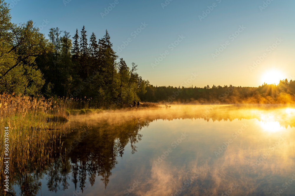 Cold summer morning in the forest with lake, forest reflection and mist on the water surface during colourful sunrise.