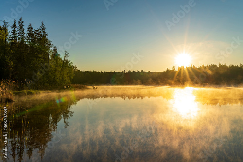Cold summer morning in the forest with lake, forest reflection and mist on the water surface during colourful sunrise.