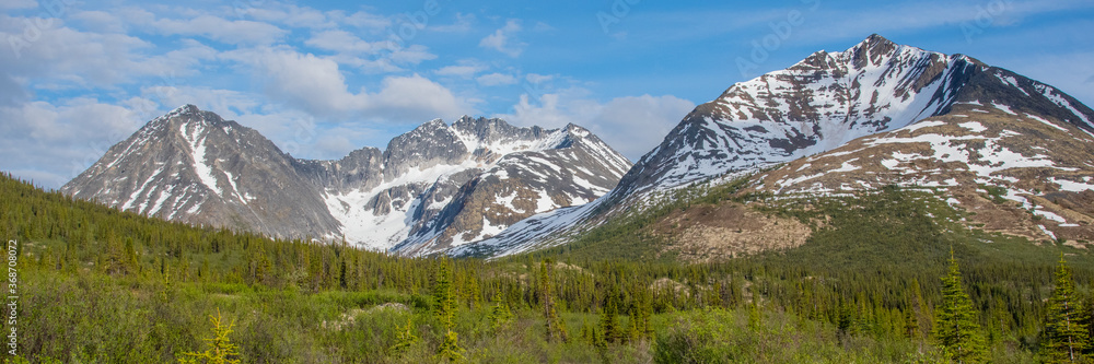 Stunning mountain landscape in the Yukon wilderness forest and woods with blue sky and perfect weather. Taken in the summertime. Stunning mountain landscape in the Yukon wilderness forest and woods with blue sky and perfect weather. Taken in the summertime.