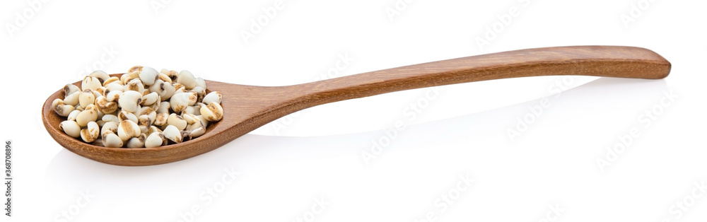 chinese pearl barley, job's tears,traditional chinese herbal medicine millet or Pivot in wooden spoon isolated on white background.Scientific name is Cox lacrima job.,Harb. chinese pearl barley, job's tears,traditional chinese herbal medicine millet or Pivot in wooden spoon isolated on white background.Scientific name is Cox lacrima job.,Harb.