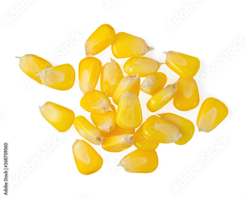 corn seeds isolated on white background