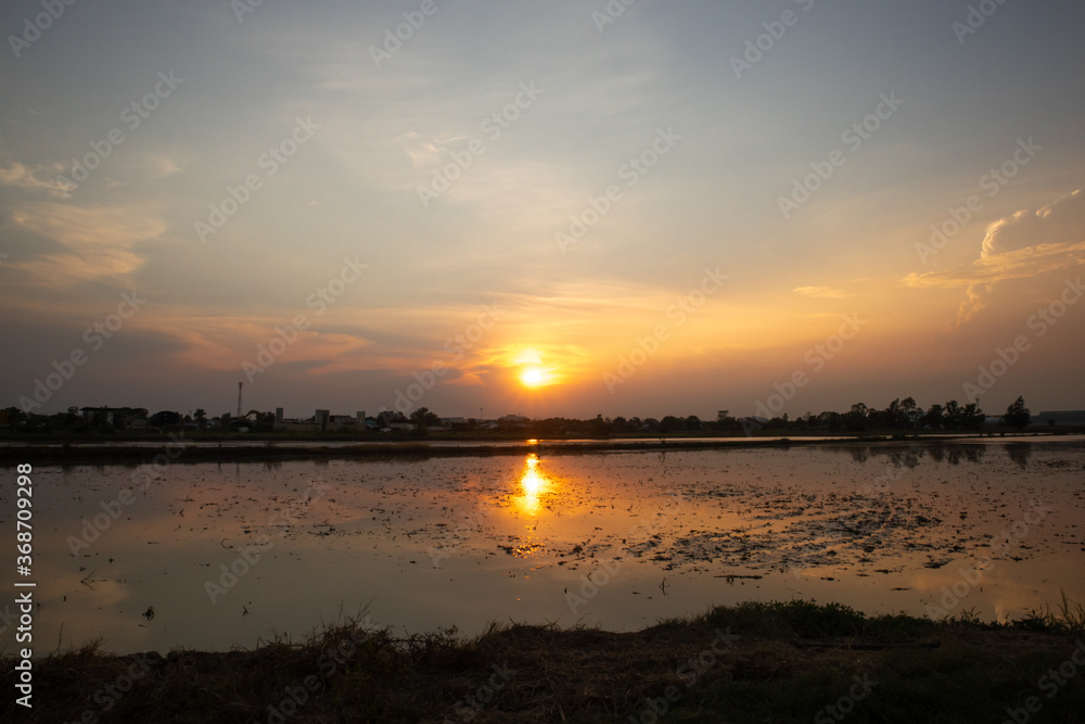 Naklejka premium landscape with early sunrise by the lake, heaven sky, black tree silhouettes. Beautiful shadows and swamp river.