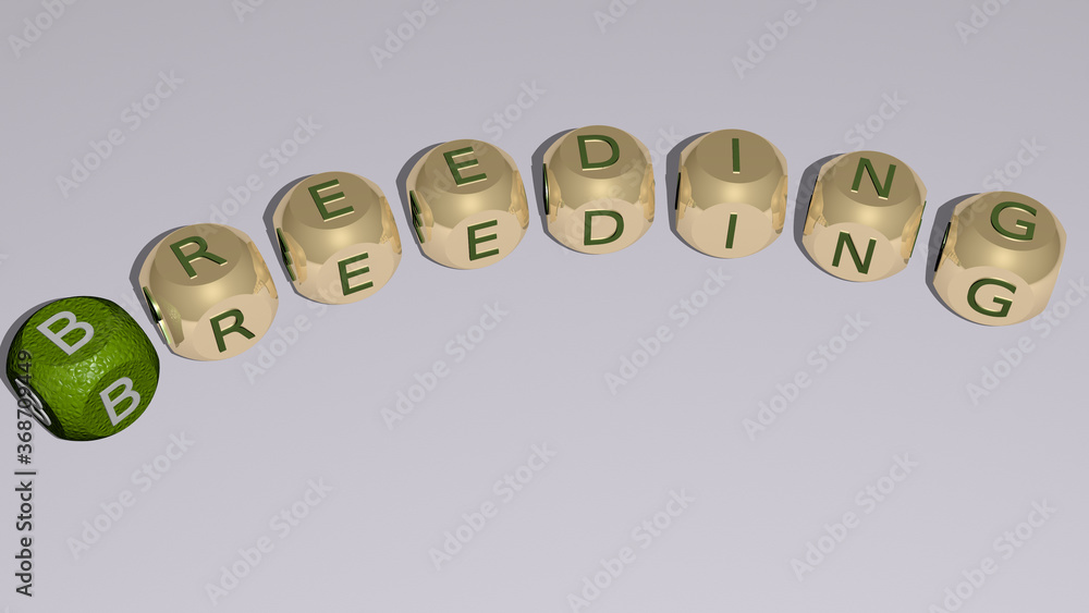 crosswords of BREEDING arranged by cubic letters on a mirror floor, concept meaning and presentation. animal and farm crosswords of BREEDING arranged by cubic letters on a mirror floor, concept meaning and presentation. animal and farm