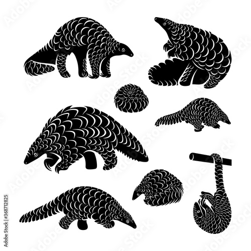 Set of Anteater Logo Design Vector. Silhouette of Anteater. Vector illustration