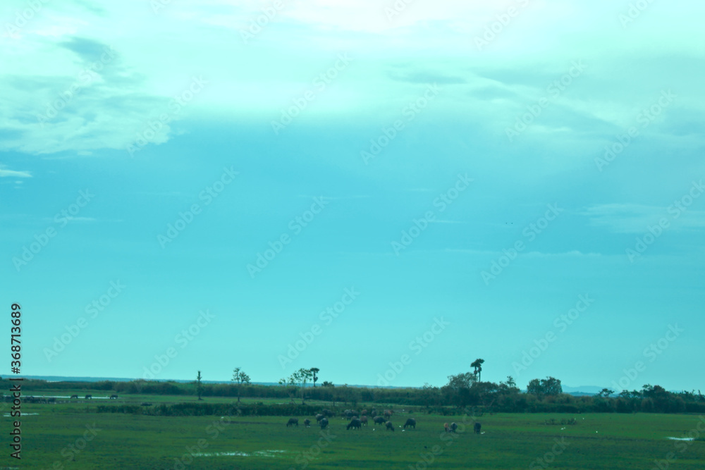 Naklejka premium landscape with blue sky and clouds
