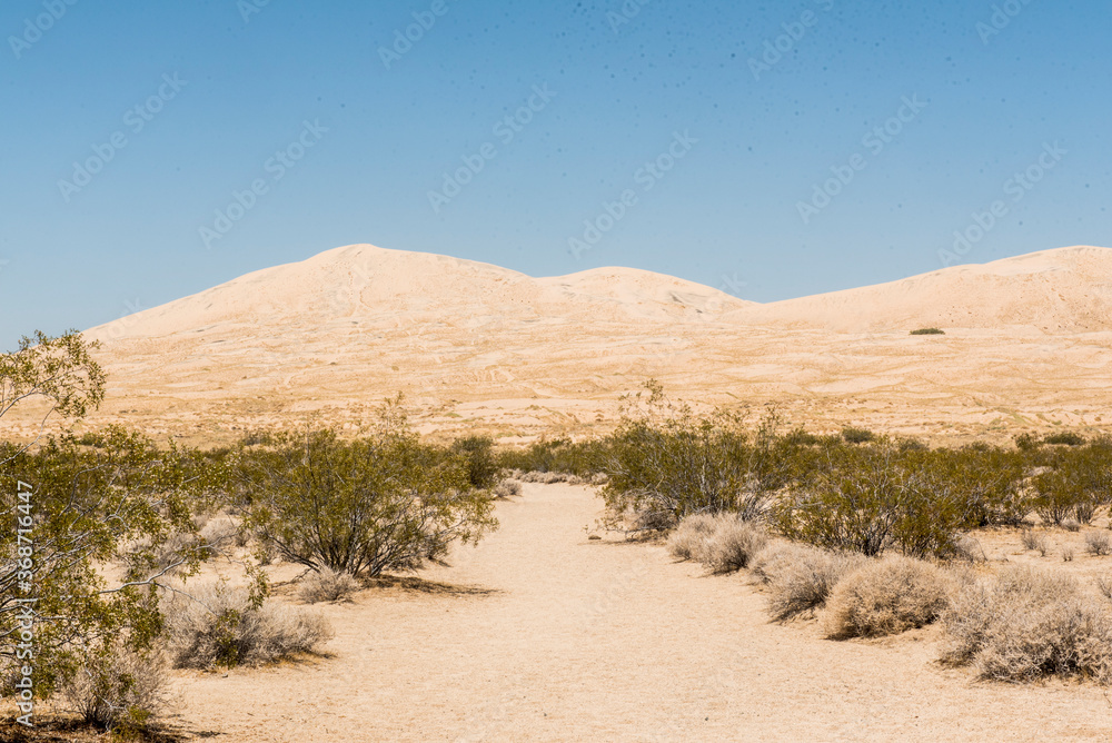 Sand Dunes in the Mojave Desert
