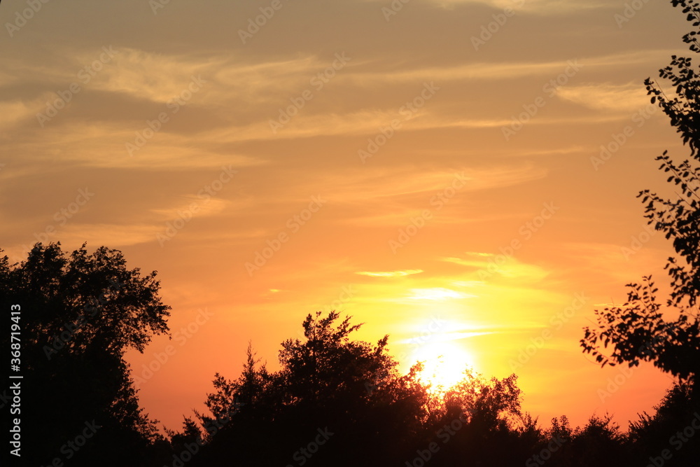 Obraz premium Kansas colorful Sunset with a bright and colorful sky with tree silhouette's.
