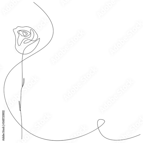 Rose flower background. Vector illustration