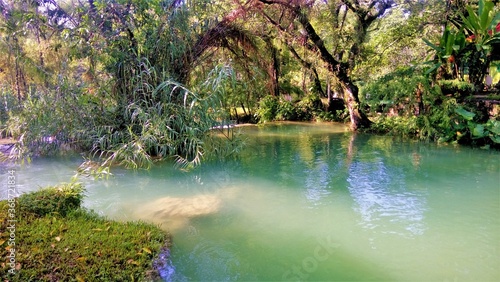 Hermoso paisaje de río con agua color turquesa enmedio de la naturaleza, Tamasopo - San Luis Potosí photo