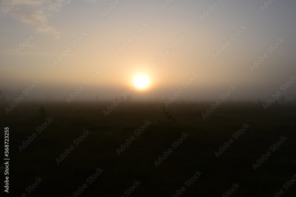 Brightly lit sunny ball in a foggy morning over forest swamp