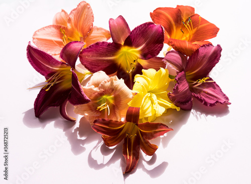 Composition of multi-colored lilies in the form of a heart