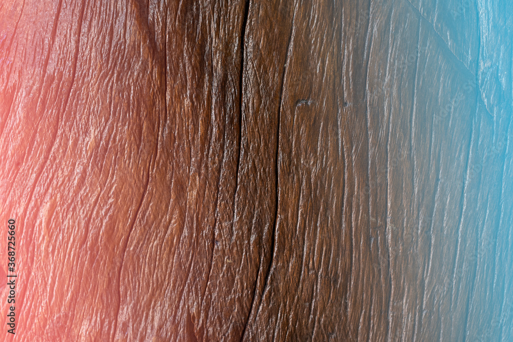 texture of old dark wood texture of old dark wood