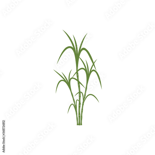 Sugar cane Logo Template vector symbol