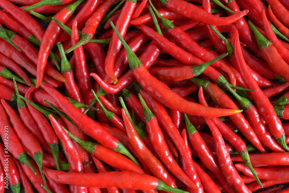 Fresh chilli for cooking,Top view,Background. Fresh chilli for cooking,Top view,Background.