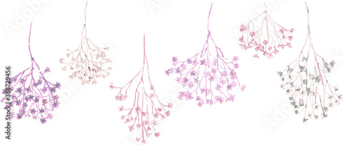 かすみ草の手書き水彩素材