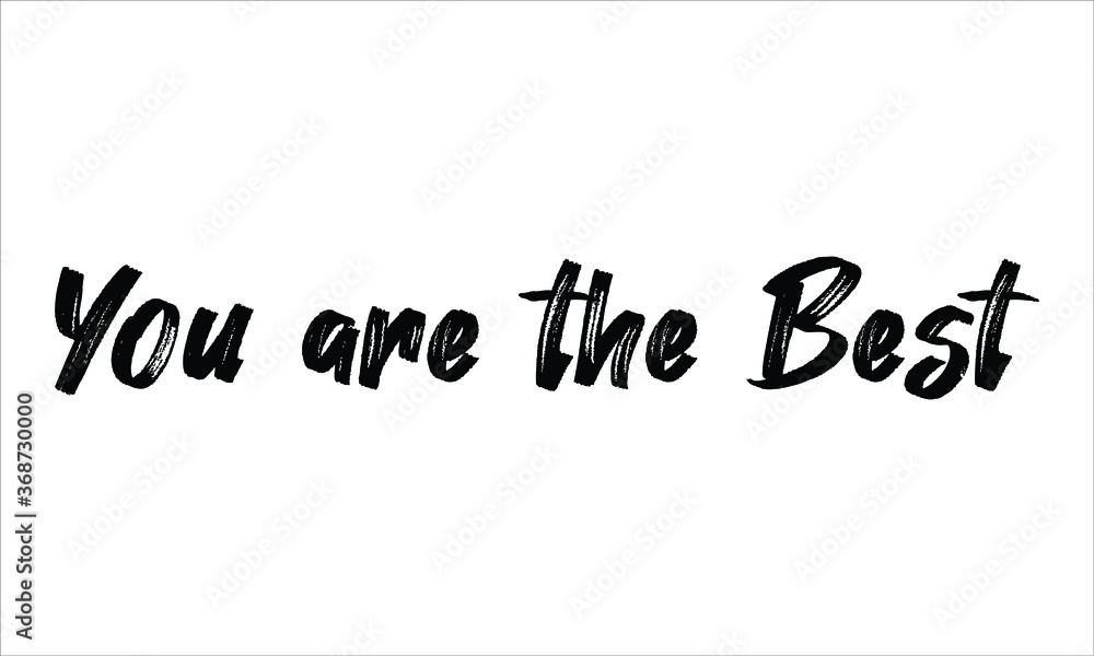 You are the Best Brush Hand drawn Typography Black text lettering and phrase isolated on the White background