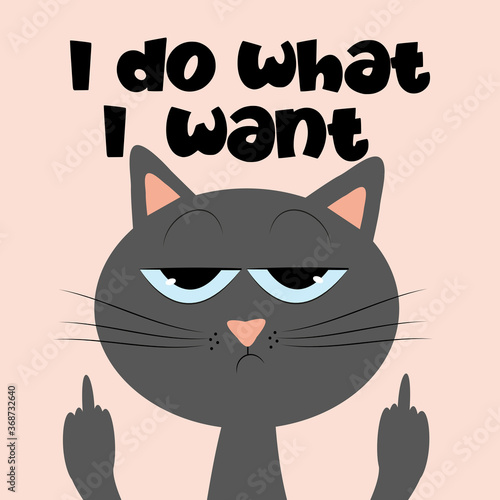 I do what I want- funny text with grimacing cat.
Good for T shirt print, postcard, poster, photo album cover, and gift design.