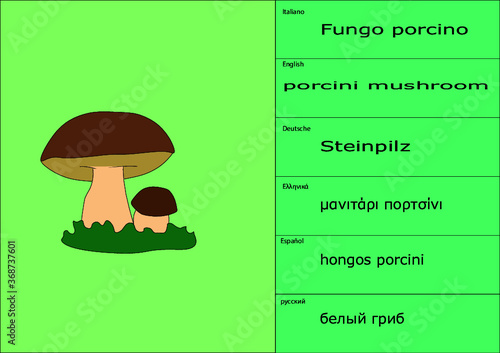 esempio di tovaglietta bavaglino placemate scheda studio simpatico con traduzioni multiple del soggetto porcino fungo porcino