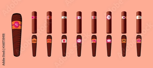 set of cigar with label in various models. vector illustration photo