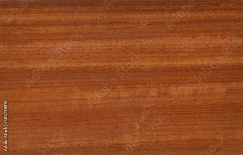 Padouk veneer, exotic natural wood from Africa.