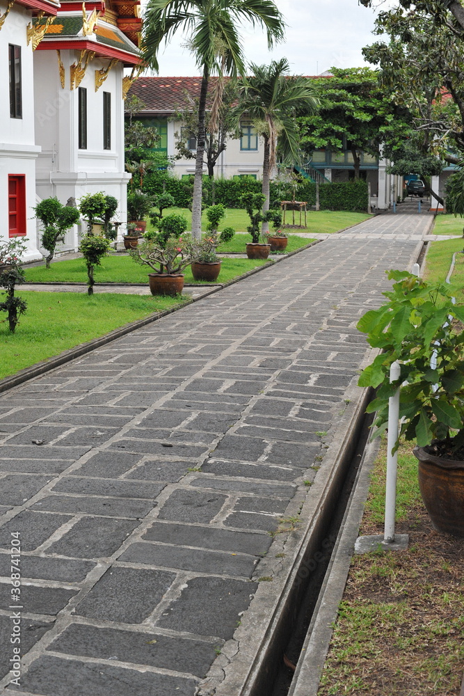 Obraz premium path in a garden