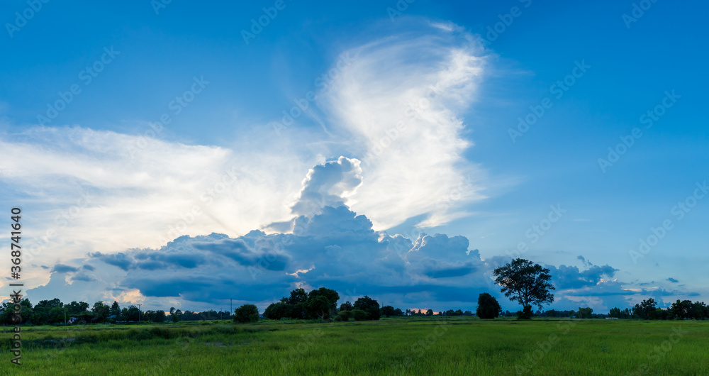 Beautiful sky sunset. Amazing large white clouds over the rice fields. Beautiful sky sunset. Amazing large white clouds over the rice fields.