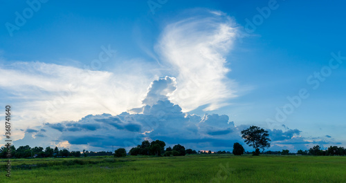 Beautiful sky sunset. Amazing large white clouds over the rice fields.