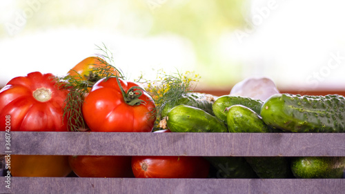 Vegetables tomatoes and cuc...