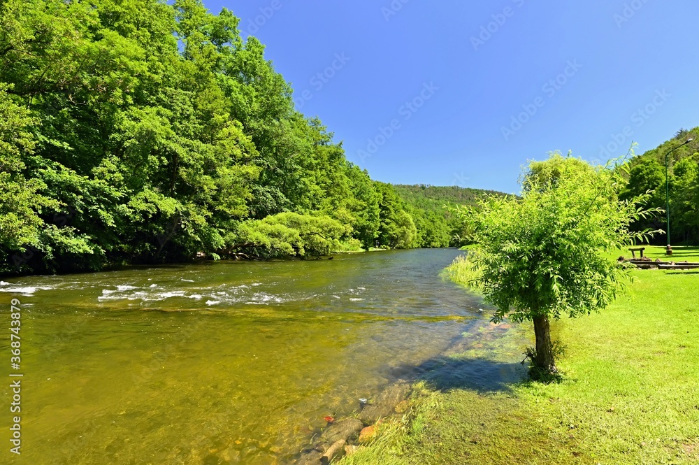 Beautiful summer landscape with river, forest, sun and blue skies. Natural colorful background. Jihlava River, Czech Republic - Europe. Beautiful summer landscape with river, forest, sun and blue skies. Natural colorful background. Jihlava River, Czech Republic - Europe.