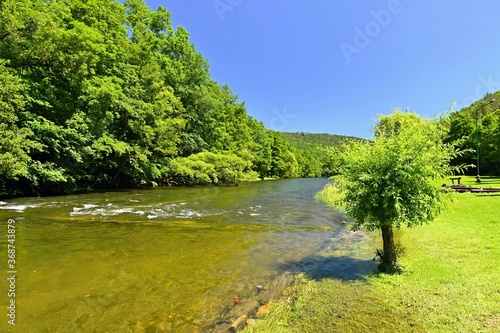 Beautiful summer landscape with river  forest  sun and blue skies. Natural colorful background. Jihlava River  Czech Republic - Europe.