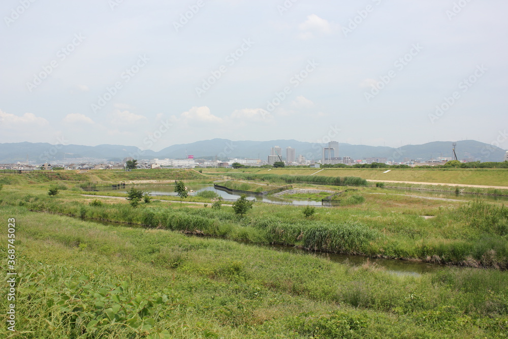 Fototapeta premium 河川敷、River