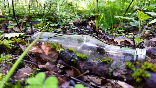 Close-up of an old clouded glass bottle against the backdrop of a living forest vegetation  green moss  foliage  plants ...