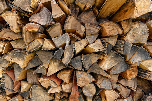 beautiful texture with dry firewood for winter.