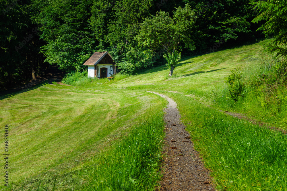 Wanderung zum Gallner Gipfel bei Stallwang im Bayerischen Wald Wanderung zum Gallner Gipfel bei Stallwang im Bayerischen Wald