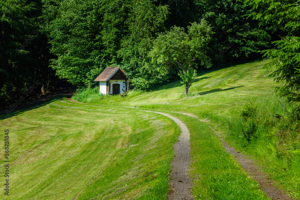 Wanderung zum Gallner Gipfel bei Stallwang im Bayerischen Wald Wanderung zum Gallner Gipfel bei Stallwang im Bayerischen Wald