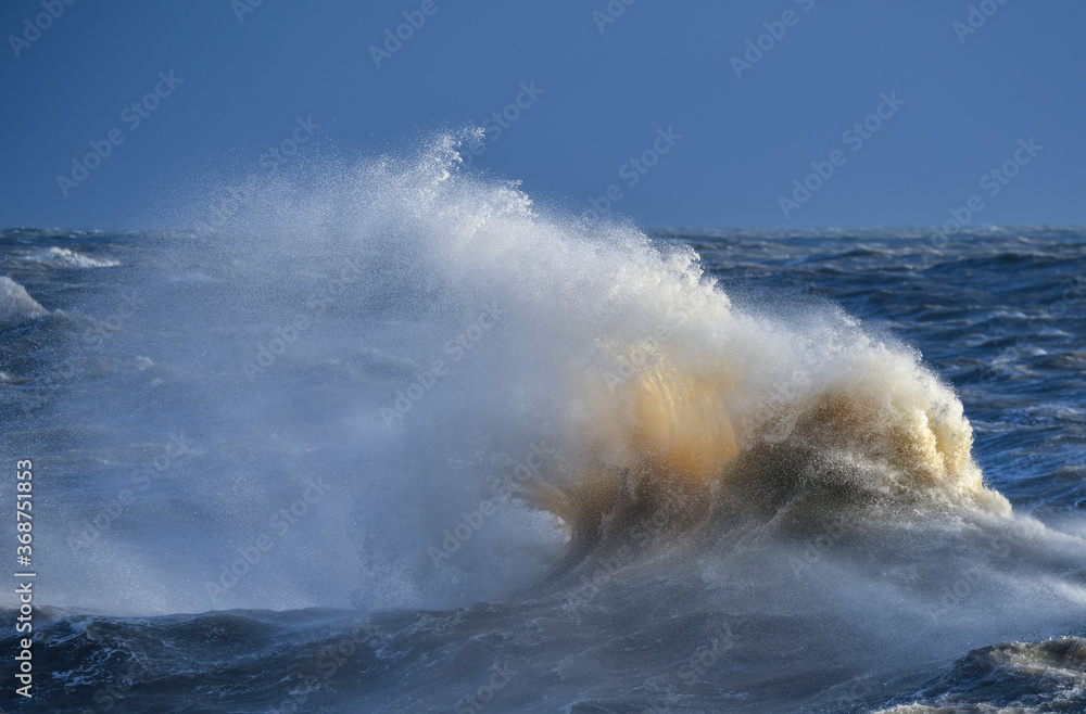 Obraz premium Amzing image of individual wave breaking and cresting during violent windy storm with superb wave detail