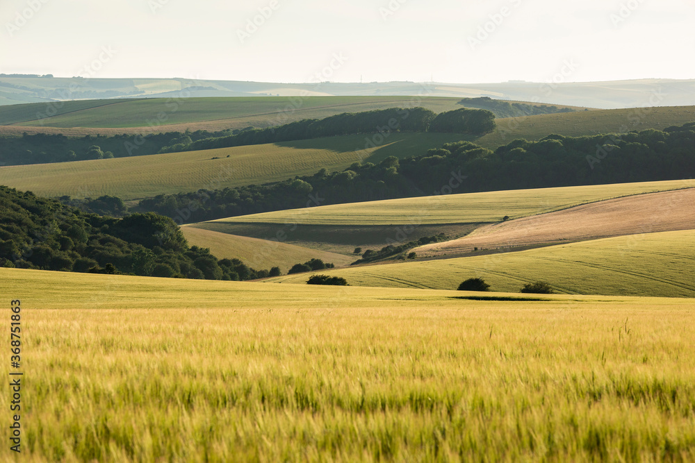 Stunning late Summer afternoon light over rolling hills in English countryside landscape with vibrant warm light Stunning late Summer afternoon light over rolling hills in English countryside landscape with vibrant warm light
